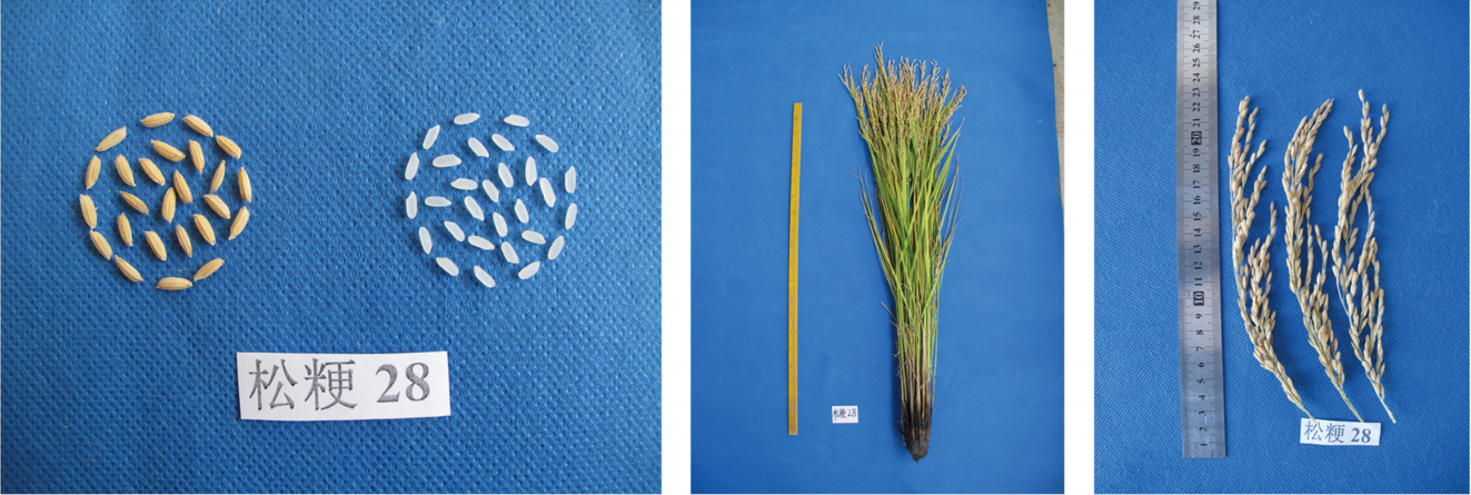 1677823220102281.png 1-1.png