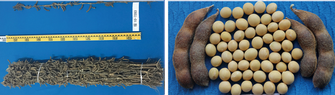 1677830687617948.jpg 1.jpg